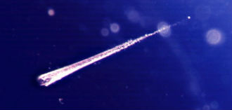 Talgupäev Tsõõrikmäe meteoriidikraatris