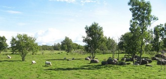 Osmussaare talgud II